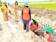 Jaringan Irigasi Bojonegoro Bertambah Drastis, Ekonomi Desa Ikut Terkerek IMG 20260219 WA0044