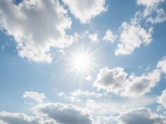 Prakiraan Cuaca Bojonegoro Jumat Ini, Simak Detail Suhu dan Arah Angin IMG 20260220 WA0006