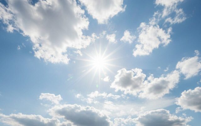 IMG-20260220-WA0006 IMG 20260220 WA0006