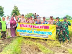 Varietas PMJ 01 Tahan Hama, Hasil Panen di Sarirejo Lamongan Melampaui Ekspektasi IMG 20260221 WA0000