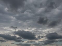 Cuaca Bojonegoro Berawan Seharian, Siang Berpotensi Hujan IMG 20260224 WA0031