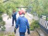 Gerak Cepat, Damkarmat Bojonegoro Evakuasi Pohon Tumbang dalam Hitungan Menit IMG 20260225 WA0006
