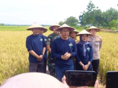 Panen Perdana Gamagora 7, Ini Strategi Bojonegoro Menuju Swasembada Pangan IMG 20260228 WA0012