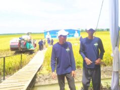 Varietas Baru dari UGM Unjuk Gigi di Bojonegoro, Petani Bayemgede Kepohbaru Sumringah IMG 20260228 WA0020