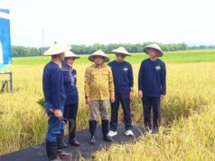 Tak Cuma Benih, UGM Bawa Paket Teknologi Ramah Lingkungan di Bojonegoro IMG 20260301 WA0012