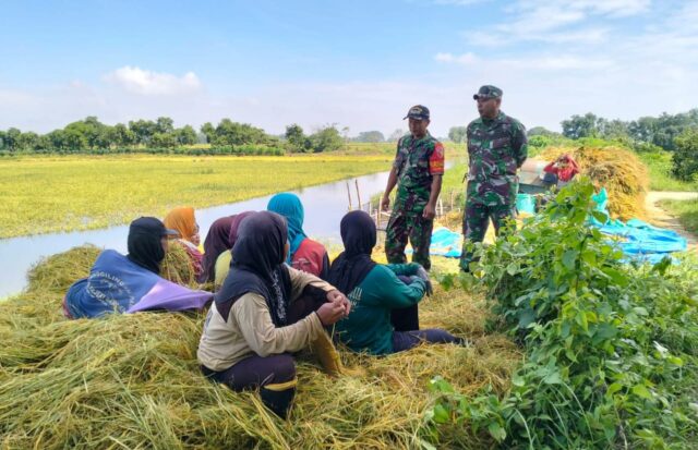 IMG-20260301-WA0025 IMG 20260301 WA0025