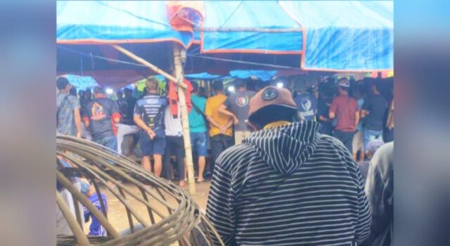 Isu Aliran Dana dan Pembiaran APH, Judi Sabung Ayam Sambirejo Bangorejo Banyuwangi Jadi Perhatian IMG 20260302 WA0027