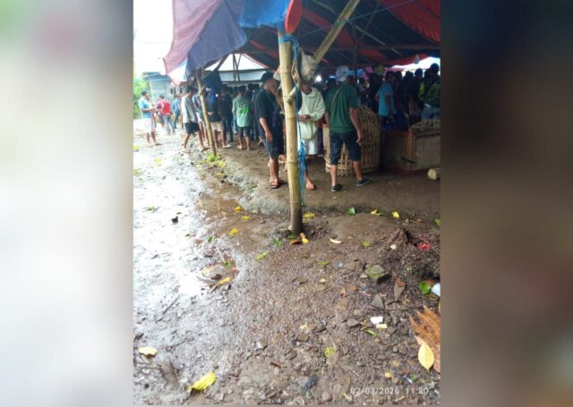 IMG-20260303-WA0036 IMG 20260303 WA0036