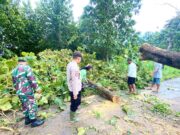 Hujan Angin di Ngimbang Lamongan, Akses Jalan Tanjung–Songowareng Sempat Terputus IMG 20260307 WA0035