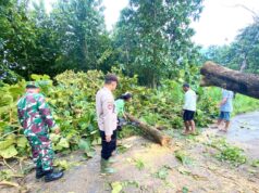 Hujan Angin di Ngimbang Lamongan, Akses Jalan Tanjung–Songowareng Sempat Terputus IMG 20260307 WA0035