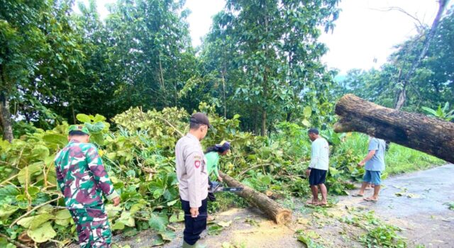 Hujan Angin di Ngimbang Lamongan, Akses Jalan Tanjung–Songowareng Sempat Terputus IMG 20260307 WA0035