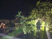 Aksi Sat-Set Polsek Bluluk: Evakuasi Pohon Tumbang di Tengah Hujan Deras Lamongan IMG 20260311 WA0005