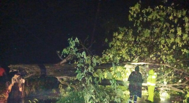 Aksi Sat-Set Polsek Bluluk: Evakuasi Pohon Tumbang di Tengah Hujan Deras Lamongan IMG 20260311 WA0005