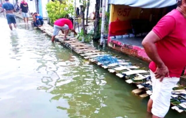 IMG-20260321-WA0013 IMG 20260321 WA0013