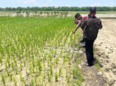 Petani Bojonegoro Meninggal Mendadak di Sawah, Ini Kronologinya IMG 20260322 WA0045
