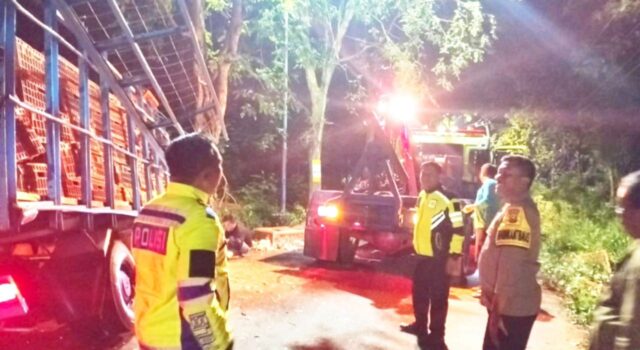 Sopir Truk Ayam Celaka di Jalan Hutan Bubulan Bojonegoro, Polisi Ungkap Fakta IMG 20260324 WA0023