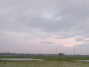 Cuaca Bojonegoro Hari Ini: Pagi Berawan, Siang Berpotensi Hujan Ringan IMG 20260327 WA0011