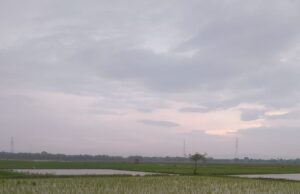 Cuaca Bojonegoro Hari Ini: Pagi Berawan, Siang Berpotensi Hujan Ringan IMG 20260327 WA0011