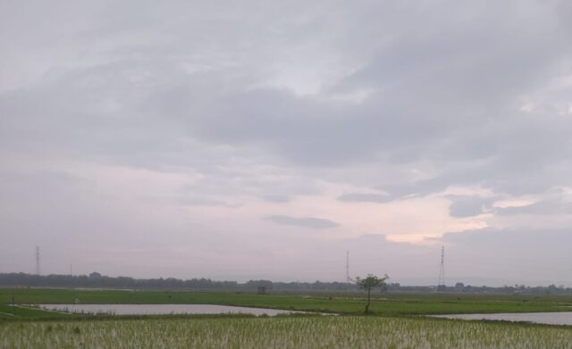 IMG 20260327 WA0011
