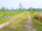 Miris, Jalan Strategis di Ngemplak Baureno Bojonegoro Dibiarkan Rusak Parah IMG 20260327 WA0016