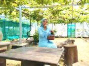 Wisata Ndeso Rasa Modern, Mina Agro Tlogorejo Jadi Favorit Keluarga Bojonegoro IMG 20260407 WA0010