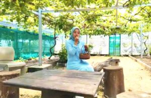 Wisata Ndeso Rasa Modern, Mina Agro Tlogorejo Jadi Favorit Keluarga Bojonegoro IMG 20260407 WA0010