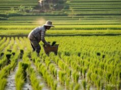 Waspada, Bojonegoro Diprediksi Lebih Kering, Petani Diminta Ganti Tanaman IMG 20260408 WA0001
