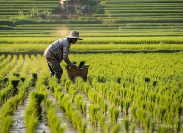 IMG-20260408-WA0001 IMG 20260408 WA0001