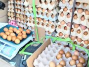 Setiap Jumat, Disnakkan Bojonegoro Jadi Pusat Telur Murah Berkualitas IMG 20260416 WA0000