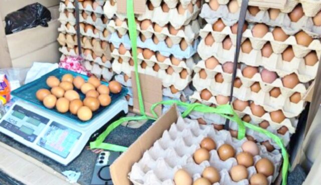 IMG-20260416-WA0000 IMG 20260416 WA0000