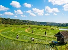 Bojonegoro Cerah Tapi Lembap, Berikut Rincian Cuaca Lengkap Hari Ini IMG 20260417 WA0008