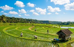 Bojonegoro Cerah Tapi Lembap, Berikut Rincian Cuaca Lengkap Hari Ini IMG 20260417 WA0008