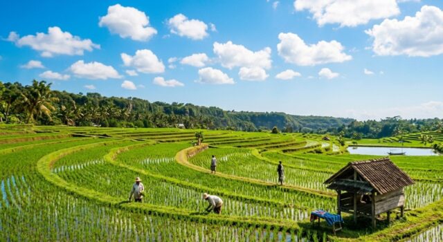 Bojonegoro Cerah Tapi Lembap, Berikut Rincian Cuaca Lengkap Hari Ini IMG 20260417 WA0008