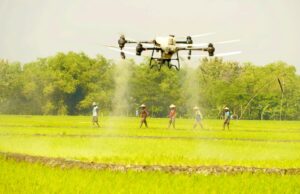 Tinggalkan Cara Lama, Petani Bojonegoro Mulai Pakai Drone IMG 20260421 WA0025