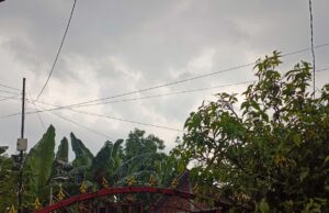 Cuaca Tak Menentu di Bojonegoro, Ini Prediksi Lengkap dari BMKG IMG 20260422 WA0001