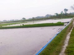 Info Cuaca Terkini Bojonegoro: Suhu Stabil, Hujan Ringan Mengintai Siang Hari IMG 20260423 WA0001