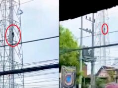 Pemuda Asal Sleman Panjat Tower di Sidoarjo, Ini Kronologinya IMG 20260424 WA0020