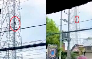 Pemuda Asal Sleman Panjat Tower di Sidoarjo, Ini Kronologinya IMG 20260424 WA0020