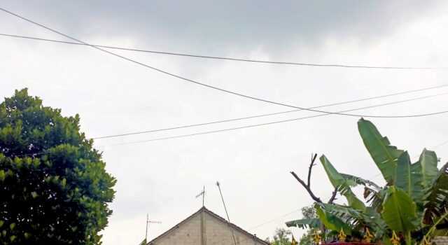 Bojonegoro Cerah di Pagi Hari, Tapi Jangan Tertipu, Ini Prediksi Lengkapnya IMG 20260425 WA0003