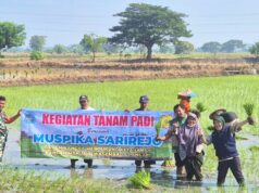 Tanam Padi Inpari Bareng TNI, Petani Sarirejo Lamongan Optimis Panen Melimpah IMG 20260425 WA0006
