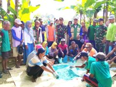 Panen Terancam, Koramil Sugio Lamongan Genjot Gerdal Hama Tikus IMG 20260425 WA0008