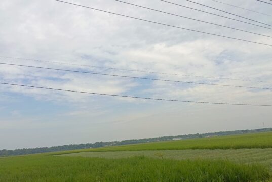Cuaca Bojonegoro Hari Ini Didominasi Berawan IMG 20260427 WA0007