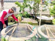 Program KOLEGA, Selain Dijual Warga Bojonegoro Ini Bagikan Hasil Panen ke Tetangga IMG 20260428 WA0029
