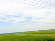 Langit Mendung Tanpa Hujan, Ini Kondisi Terbaru Cuaca Bojonegoro IMG 20260430 WA0014