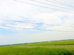 Langit Mendung Tanpa Hujan, Ini Kondisi Terbaru Cuaca Bojonegoro IMG 20260430 WA0014