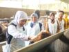 Gubernur Khofifah Sidak Pasar dan Kandang Sapi di Bojonegoro, Ini Hasilnya 1779717104039 copy 1280x733