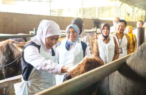 Gubernur Khofifah Sidak Pasar dan Kandang Sapi di Bojonegoro, Ini Hasilnya 1779717104039 copy 1280x733