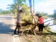 Jalur Vital Lamongan-Gresik Sempat Lumpuh, Pohon Tumbang di Deket Bikin Antrian Panjang IMG 20260502 WA0048