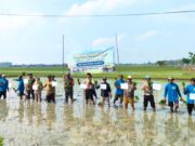 Aksi Nyata di Sawah, Program PPHT Jadi Harapan Baru Petani Lamongan IMG 20260505 WA0013