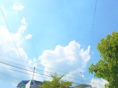 Bojonegoro Cerah Dominasi Cuaca Hari Ini, Tak Ada Laporan Bencana IMG 20260514 WA0004